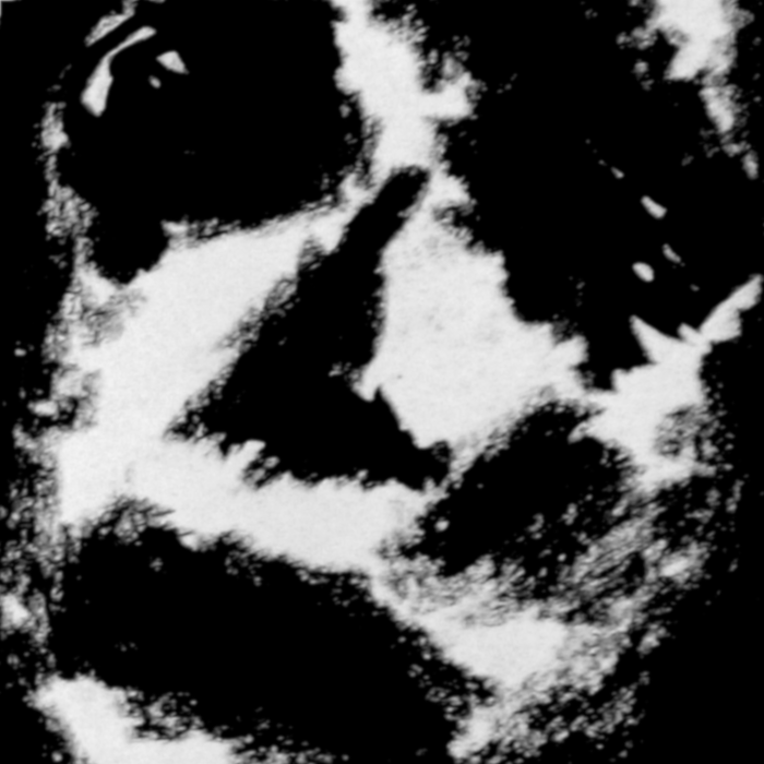 AllMyLife_Cover_low_res